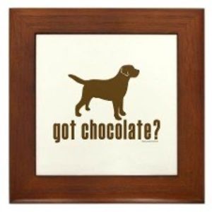 Meet your Posher, Janet